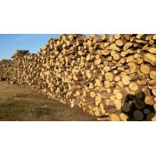 Firewoods logs (1)