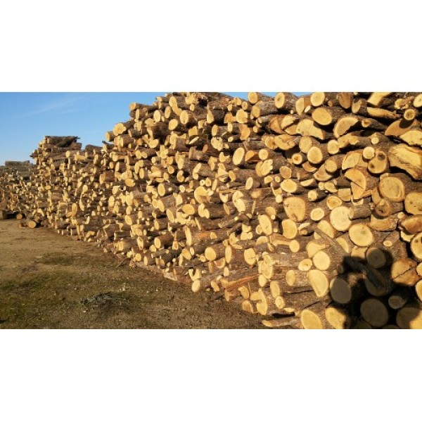 Wood Logs 1m