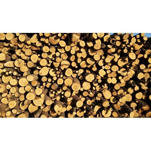 Wood Logs 1m